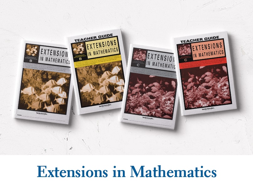 Extensions in Mathematics